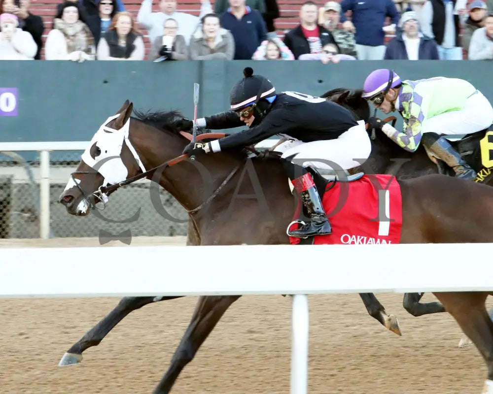 Midshipman’s Dance - Mockingbird Stakes 1St Running 01-13-24 R09 Op Inside Finish 01 Oaklawn Park