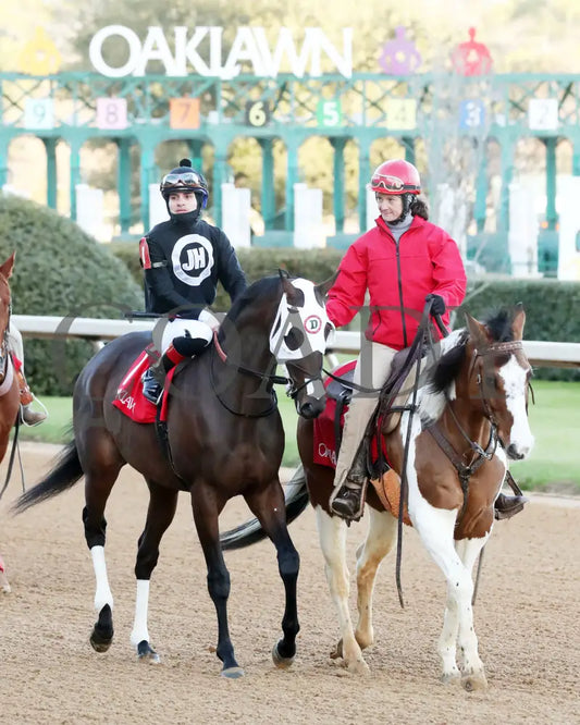 Midshipman’s Dance - Mockingbird Stakes 1St Running 01-13-24 R09 Op Post Parade 01 Oaklawn Park
