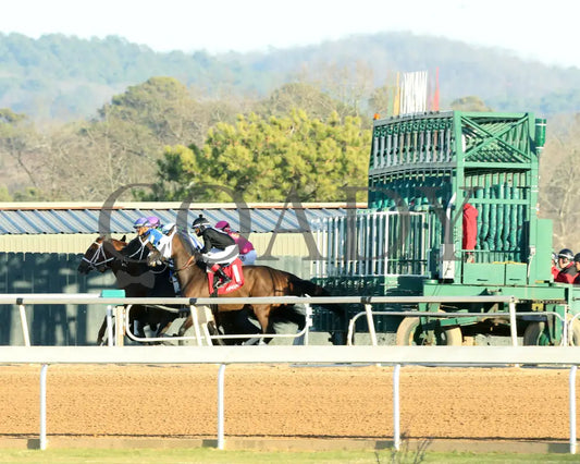 Midshipman’s Dance - Mockingbird Stakes 1St Running 01-13-24 R09 Op Start 01 Oaklawn Park