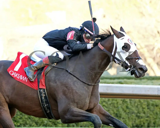 Midshipman’s Dance - Mockingbird Stakes 1St Running 01-13-24 R09 Op Tight Finish 01 Oaklawn Park