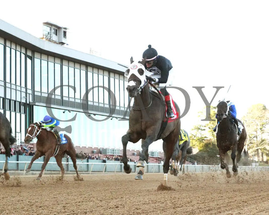 Midshipman’s Dance - Mockingbird Stakes 1St Running 01-13-24 R09 Op Under Rail 01 Oaklawn Park