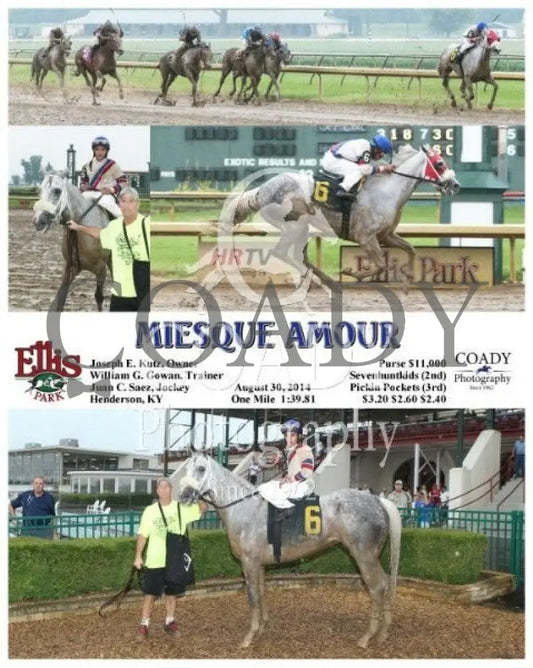 Miesque Amour - 083014 Race 09 Elp Ellis Park