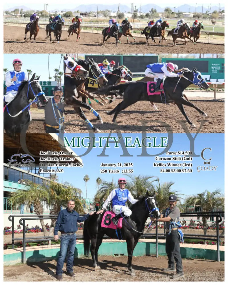 Mighty Eagle - 01-21-25 R02 Tup Turf Paradise
