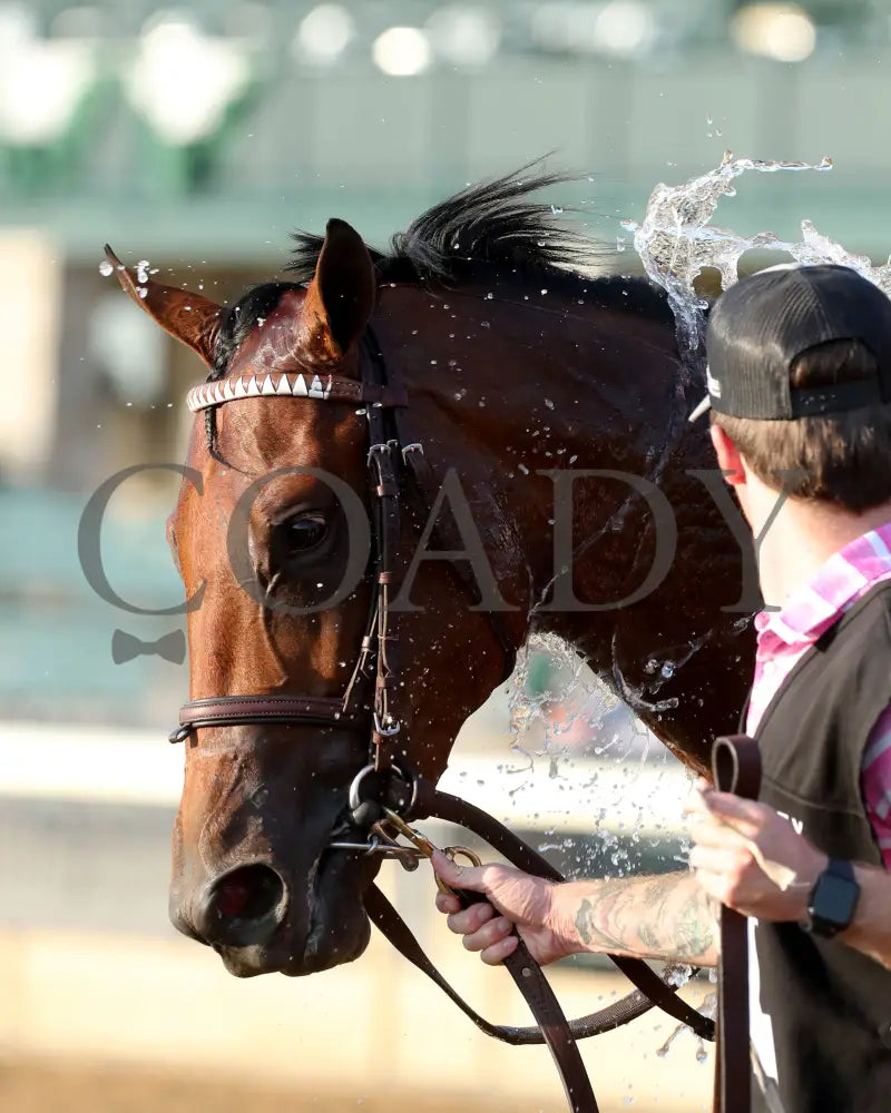 Minaret Station - The Castle & Key Bourbon G2 10-06-24 R10 Kee Come Back 02 Keeneland