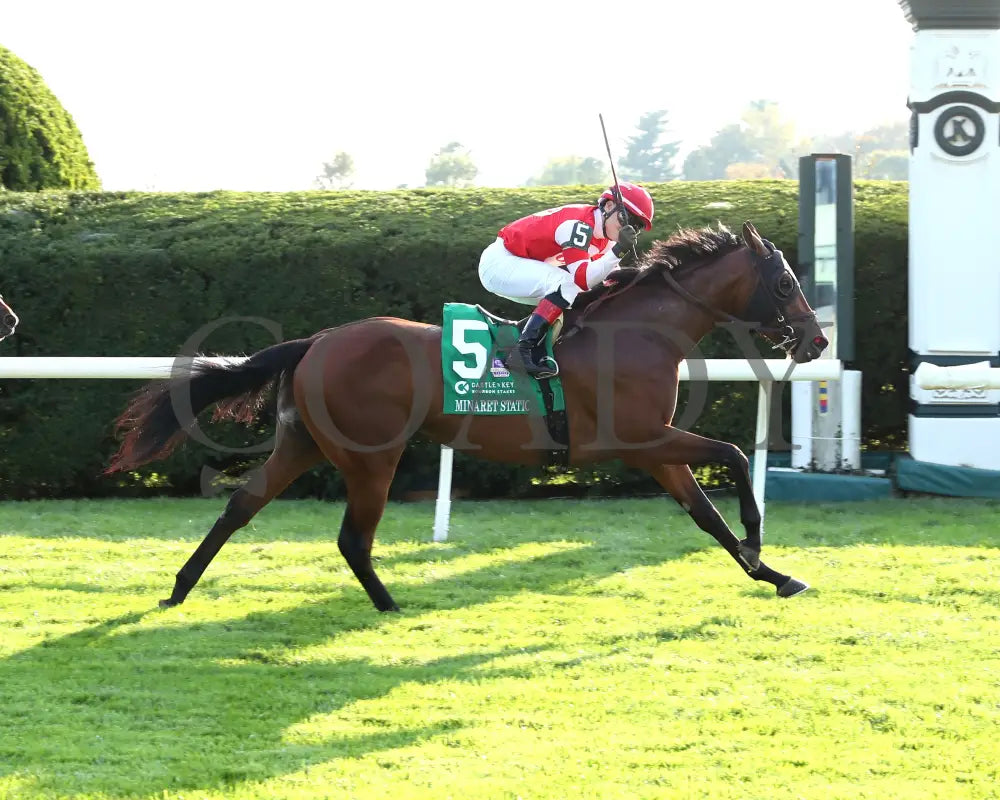 Minaret Station - The Castle & Key Bourbon G2 10-06-24 R10 Kee Finish 01 Keeneland