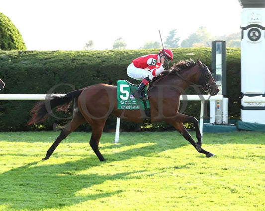 Minaret Station - The Castle & Key Bourbon G2 10-06-24 R10 Kee Finish 01 Keeneland