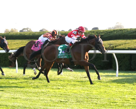 Minaret Station - The Castle & Key Bourbon G2 10-06-24 R10 Kee Finish 05 Keeneland