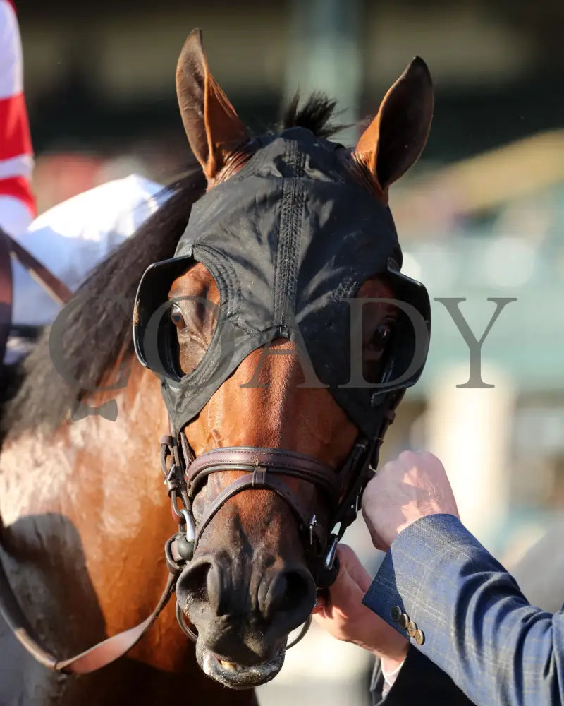 Minaret Station - The Castle & Key Bourbon G2 10-06-24 R10 Kee Head Shot 01 Keeneland