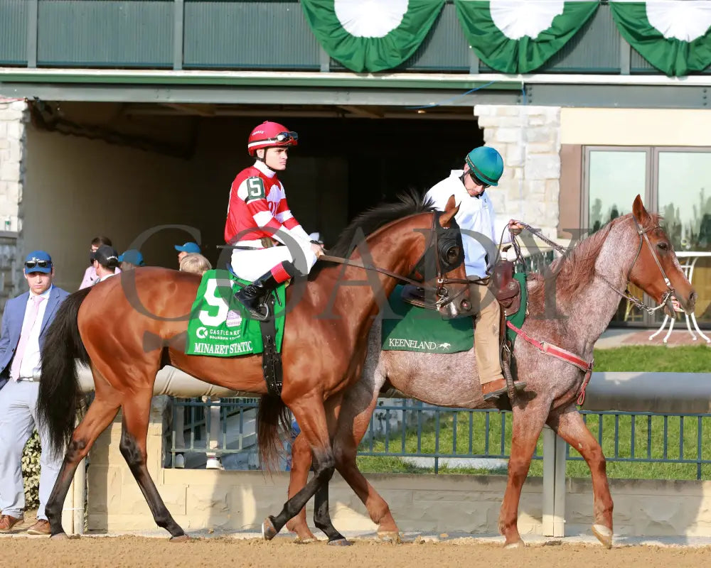 Minaret Station - The Castle & Key Bourbon G2 10-06-24 R10 Kee Post Parade 03 Keeneland