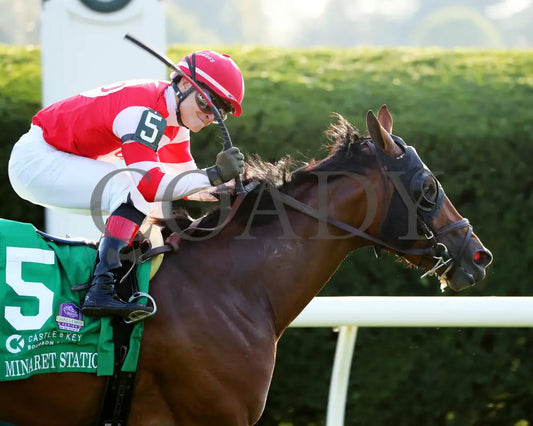 Minaret Station - The Castle & Key Bourbon G2 10-06-24 R10 Kee Tight Finish 01 Keeneland