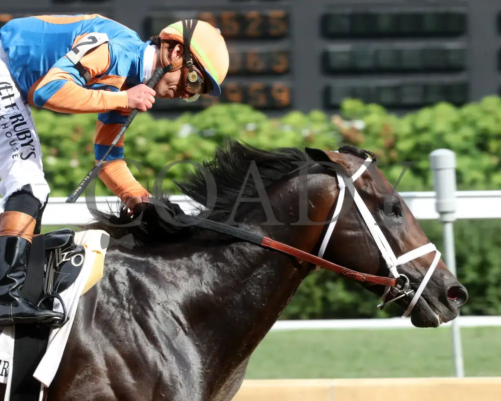 MINDFRAME - 062825 - Race 11 - CD - Celebration 02 Churchill Downs