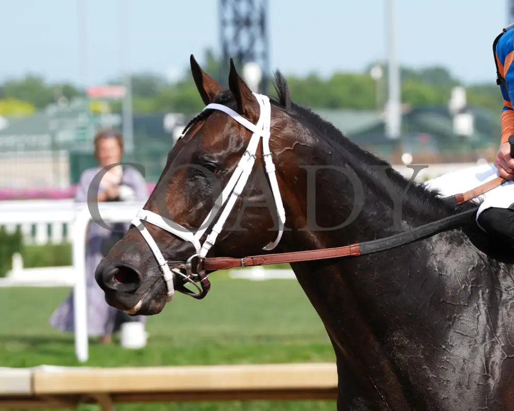 MINDFRAME - 062825 - Race 11 - CD - Come Back 09 Churchill Downs