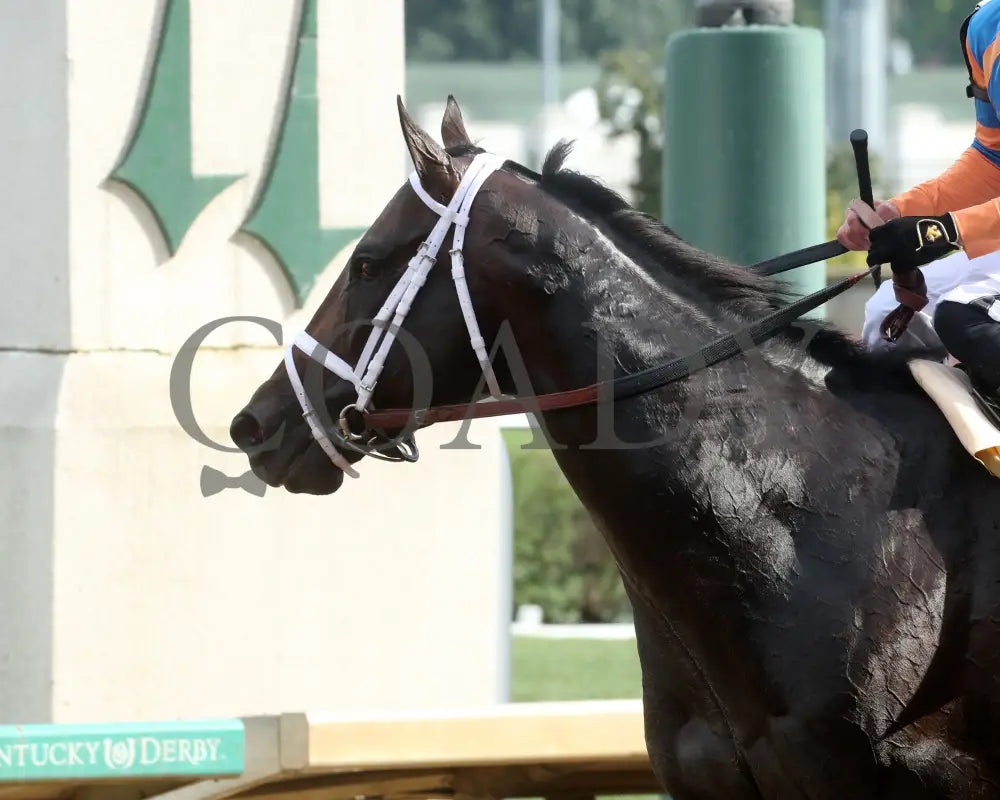 MINDFRAME - 062825 - Race 11 - CD - Come Back 13 Churchill Downs