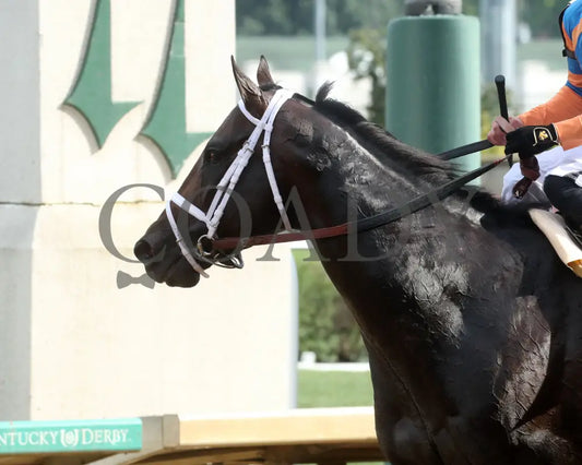 MINDFRAME - 062825 - Race 11 - CD - Come Back 13 Churchill Downs