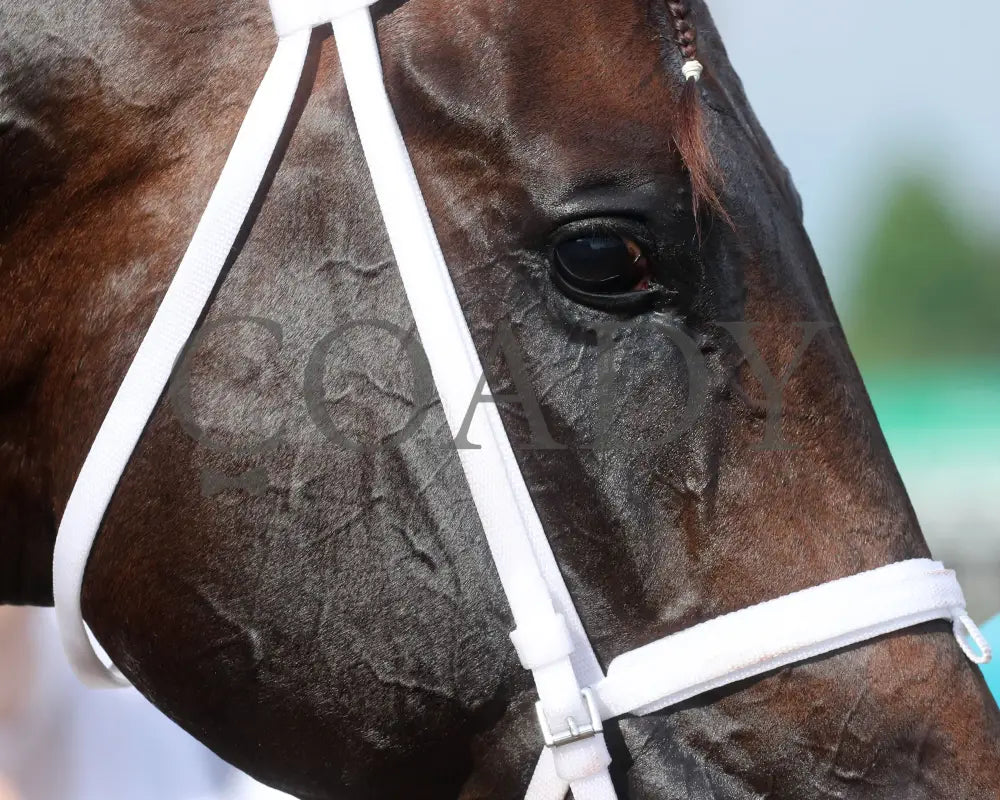 MINDFRAME - 062825 - Race 11 - CD - Come Back 14 Churchill Downs