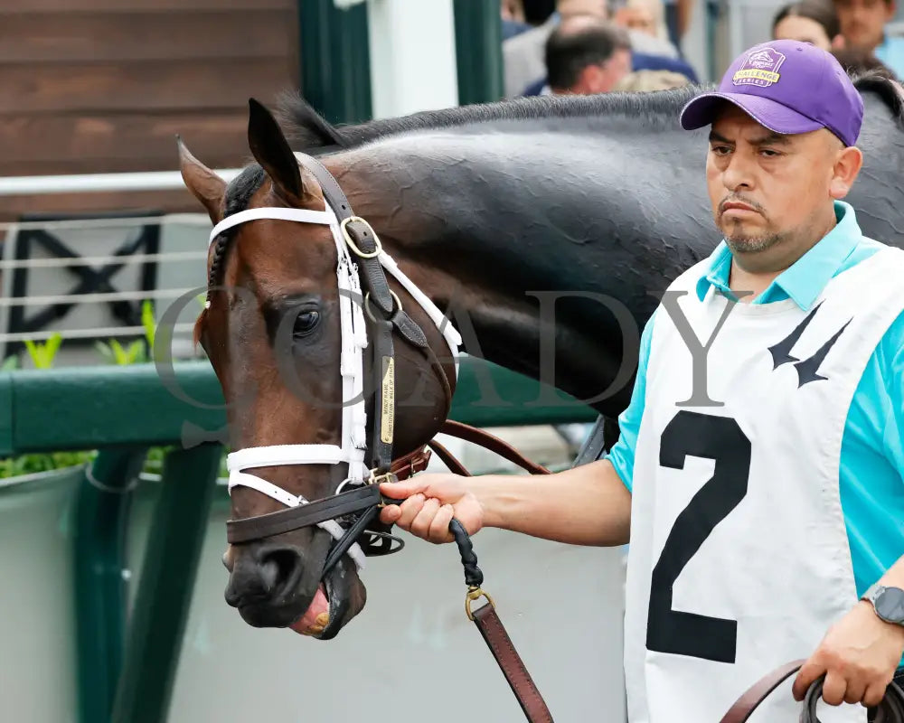 MINDFRAME - 062825 - Race 11 - CD - Paddock 01 Churchill Downs