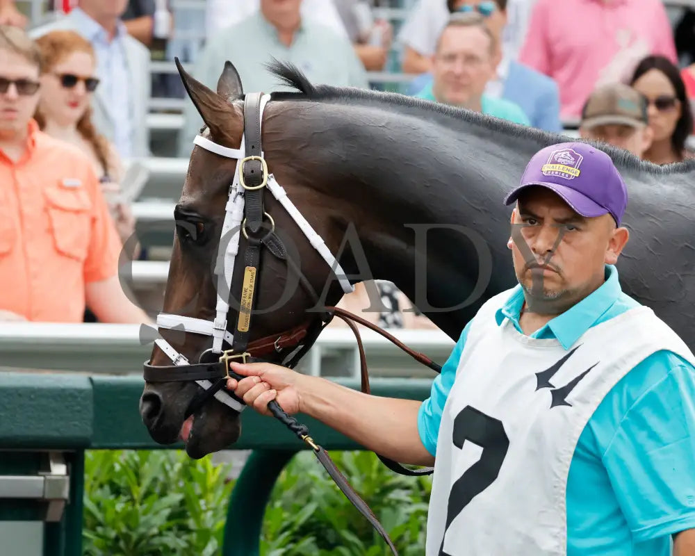 MINDFRAME - 062825 - Race 11 - CD - Paddock 02 Churchill Downs