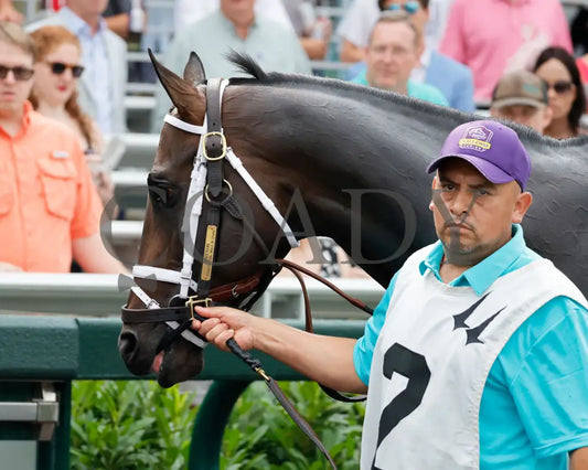 MINDFRAME - 062825 - Race 11 - CD - Paddock 02 Churchill Downs