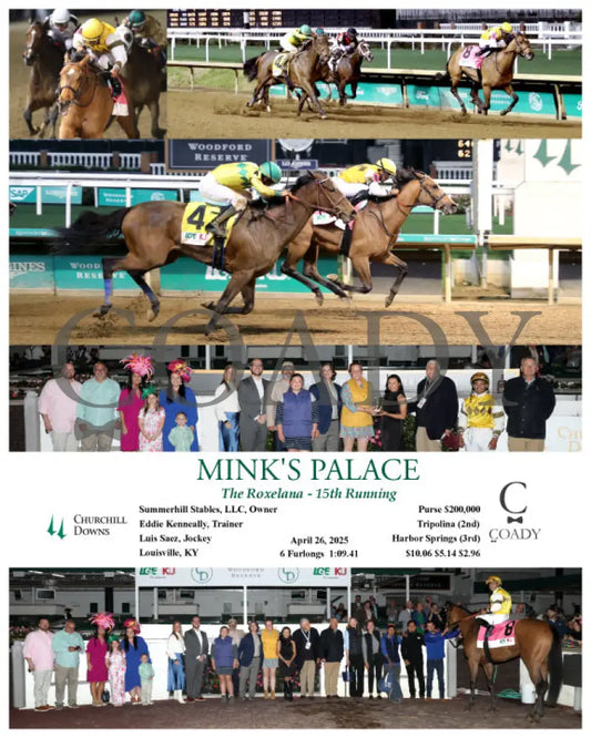 MINK’S PALACE - The Roxelana - 04-26-25 - R09 - CD Churchill Downs