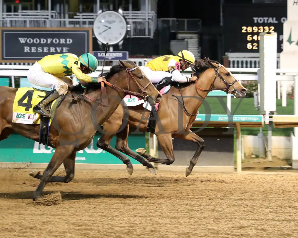 MINK’S PALACE - The Roxelana - 04-26-25 - R09 - CD - Finish 01 Churchill Downs
