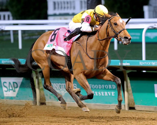 MINK’S PALACE - The Roxelana - 04-26-25 - R09 - CD - Finish 02 Churchill Downs