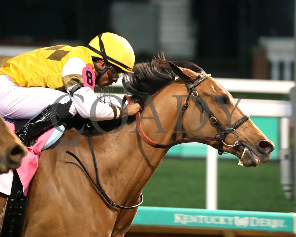 MINK’S PALACE - The Roxelana - 04-26-25 - R09 - CD - Finish 03 Churchill Downs