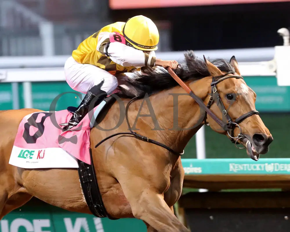 MINK’S PALACE - The Roxelana - 04-26-25 - R09 - CD - Finish 04 Churchill Downs