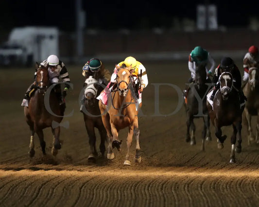 MINK’S PALACE - The Roxelana - 04-26-25 - R09 - CD - Head On 01 Churchill Downs