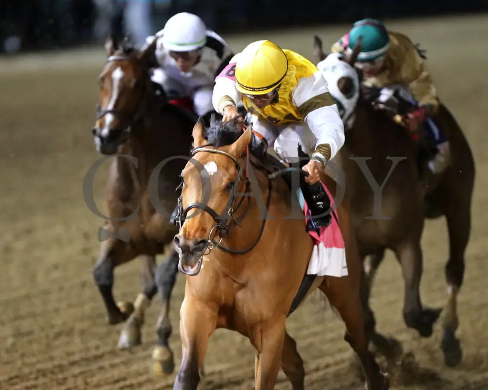 MINK’S PALACE - The Roxelana - 04-26-25 - R09 - CD - Inside Finish 01 Churchill Downs