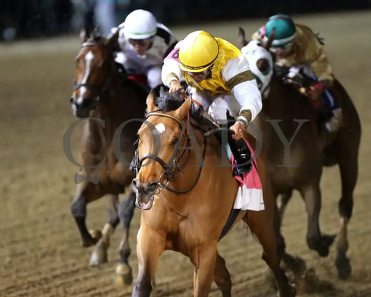 MINK’S PALACE - The Roxelana - 04-26-25 - R09 - CD - Inside Finish 01 Churchill Downs