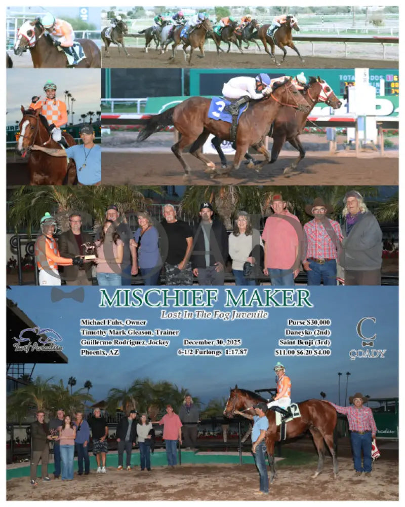 MISCHIEF MAKER - Lost In The Fog Juvenile - 12-30-25 - R08 - TUP - Coady Media - Kurtis Coady Photography