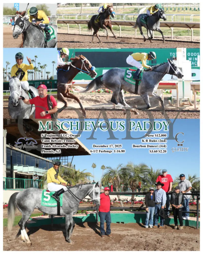 MISCHIEVOUS PADDY - 12-17-25 - R03 - TUP - Coady Media - Kurtis Coady Photography