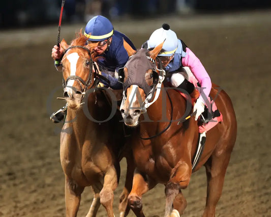Mischievousness - 05-18-24 R11 Cd Inside Finish 01 Churchill Downs