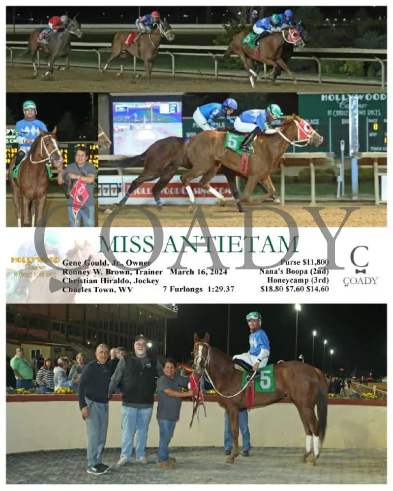 Miss Antietam - 03 - 16 - 24 R08 Ct Hollywood Casino At Charles Town Races
