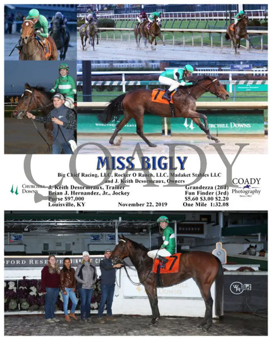 Miss Bigly - 11-22-19 R09 Cd Churchill Downs