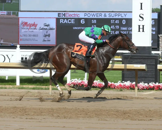 MISS CANDELA - Swifty Sired Fillies - 12th Running - 05-14-25 - R06 - Horseshoe Indiana - Finish 01 - Sammantha Pagels