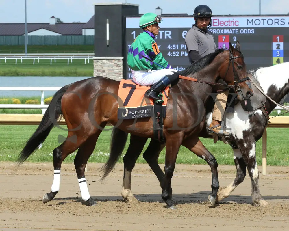 MISS CANDELA - Swifty Sired Fillies - 12th Running - 05-14-25 - R06 - Horseshoe Indiana - Post Parade 01 Indiana Grand