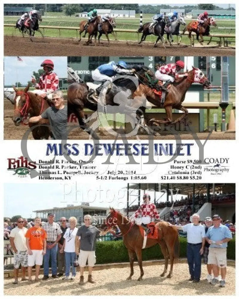 Miss Deweese Inlet - 072014 Race 05 Elp Ellis Park