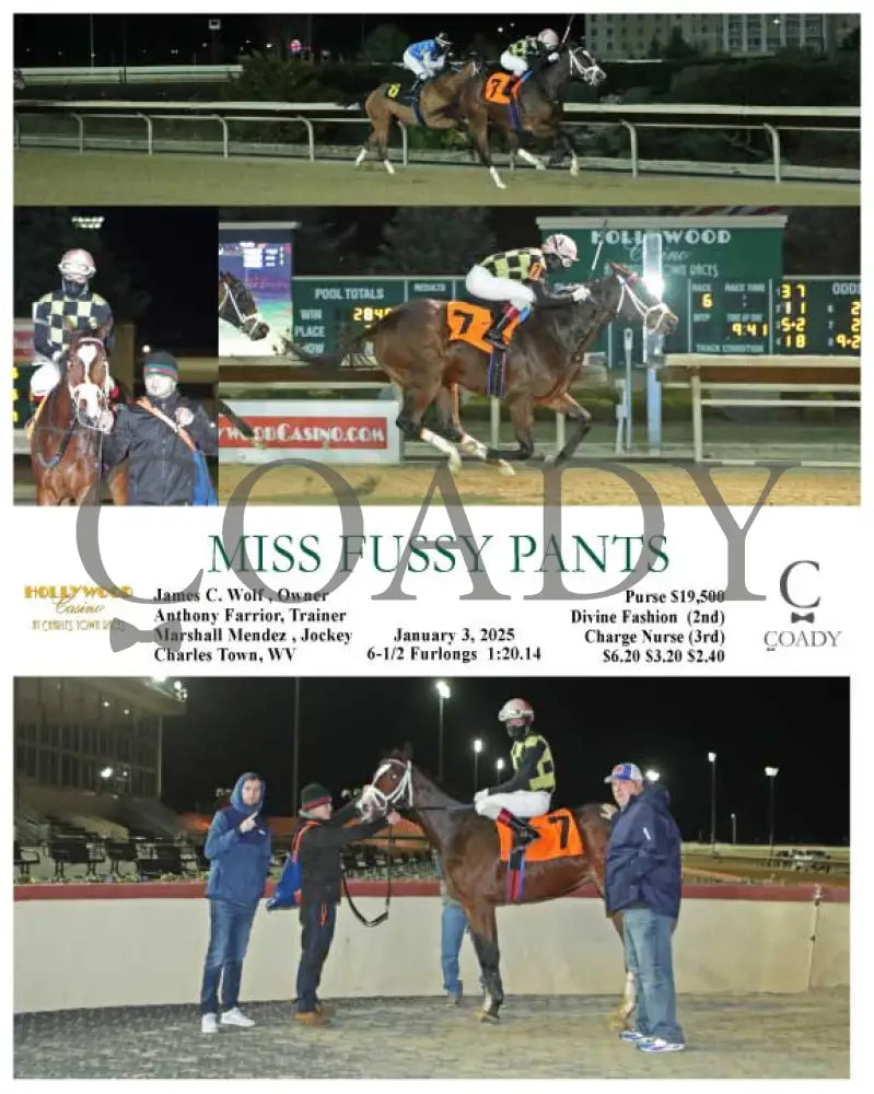 Miss Fussy Pants - 01-03-25 R06 Ct Hollywood Casino At Charles Town Races