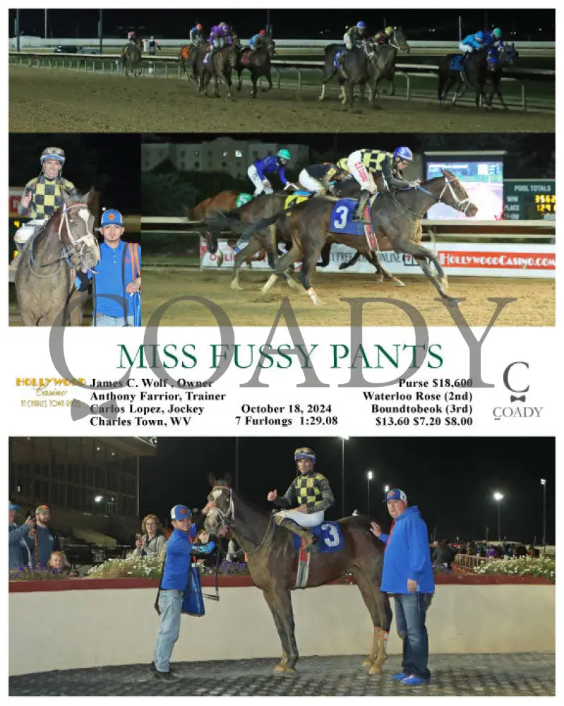 Miss Fussy Pants - 10-18-24 R05 Ct Hollywood Casino At Charles Town Races