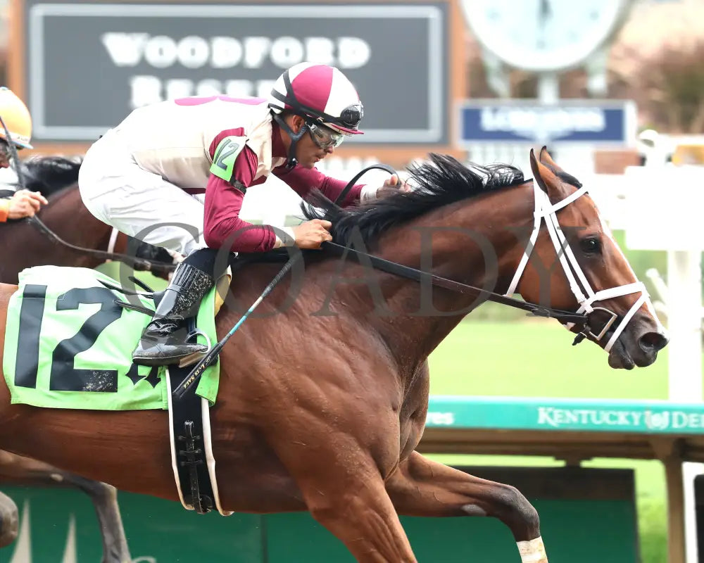 Miss Justify - The Seneca Overnight Stakes 09-21-24 R10 Cd Finish 03 Churchill Downs