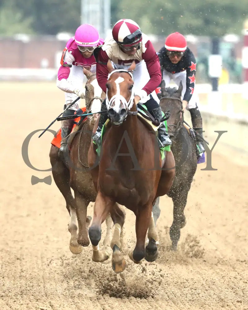 Miss Justify - The Seneca Overnight Stakes 09-21-24 R10 Cd Gallop Out 01 Churchill Downs