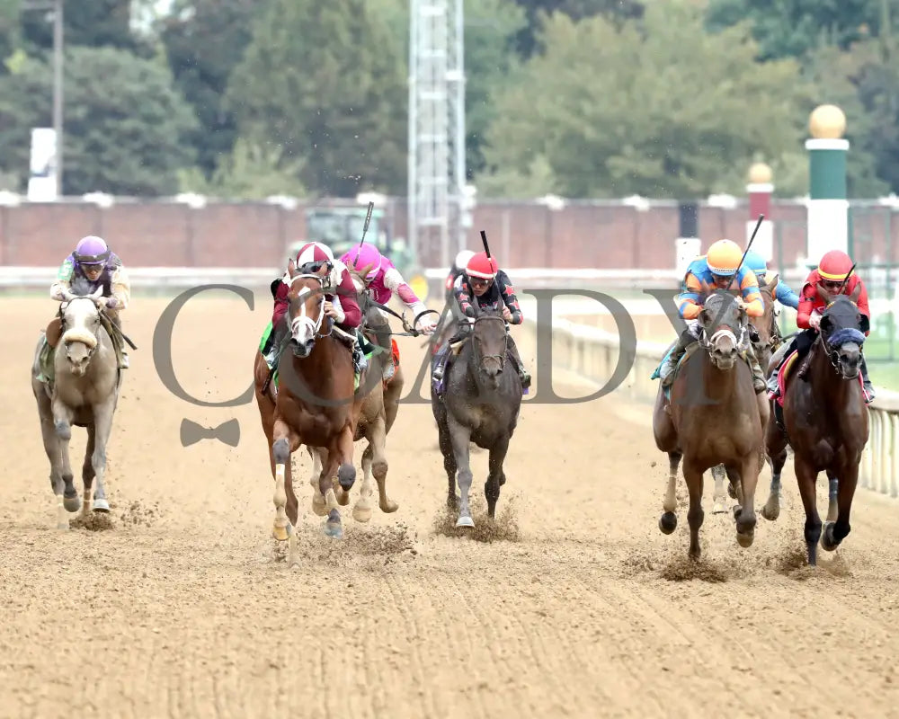 Miss Justify - The Seneca Overnight Stakes 09-21-24 R10 Cd Head On 01 Churchill Downs
