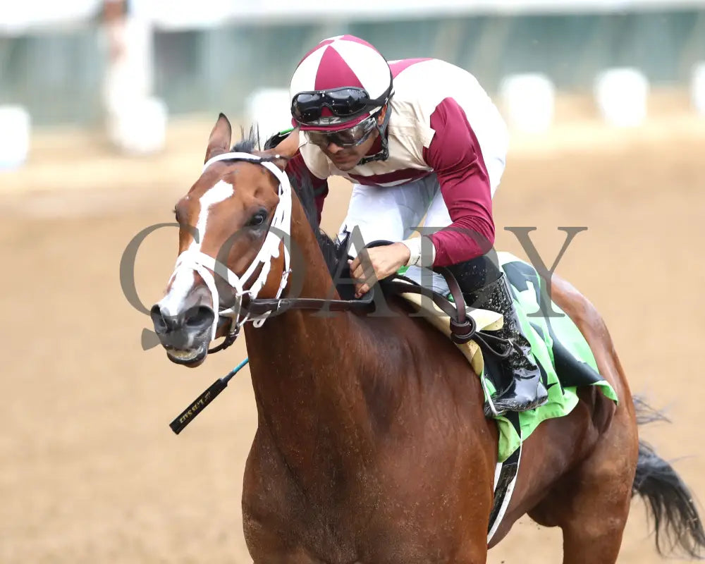 Miss Justify - The Seneca Overnight Stakes 09-21-24 R10 Cd Inside Finish 01 Churchill Downs