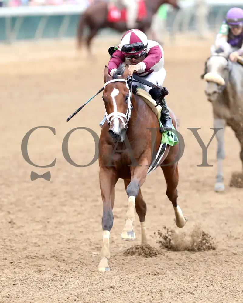 Miss Justify - The Seneca Overnight Stakes 09-21-24 R10 Cd Inside Finish 02 Churchill Downs