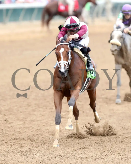 Miss Justify - The Seneca Overnight Stakes 09-21-24 R10 Cd Inside Finish 02 Churchill Downs