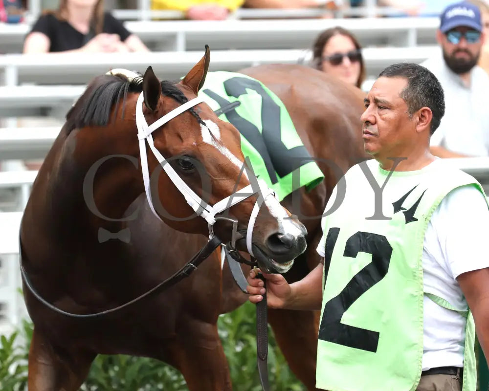 Miss Justify - The Seneca Overnight Stakes 09-21-24 R10 Cd Paddock 02 Churchill Downs