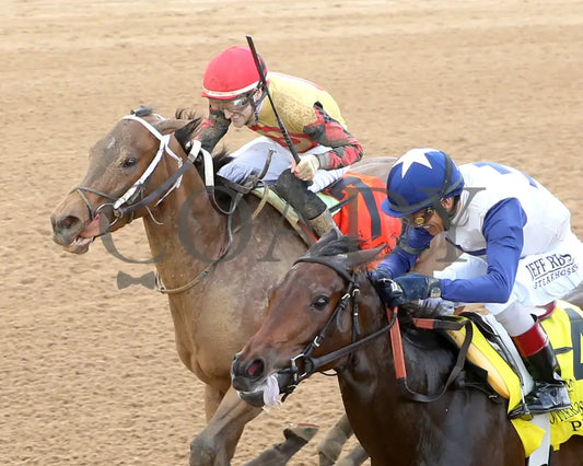 MISS MARTINI - 03-30-25 - R09 - OP - Inside Finish 01 Oaklawn Park