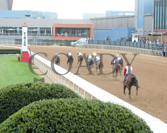MISS MARTINI - 03-30-25 - R09 - OP - Inside Finish 03 Oaklawn Park