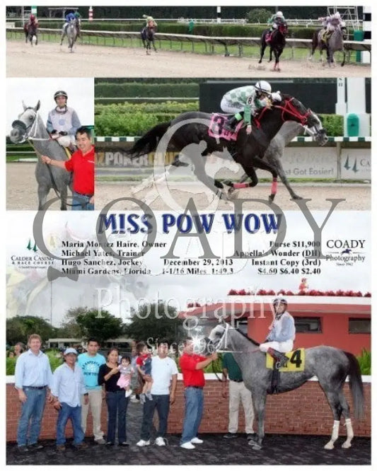Miss Pow Wow - 122913 Race 02 Crc Calder Course